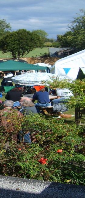 Annual Beer Festival